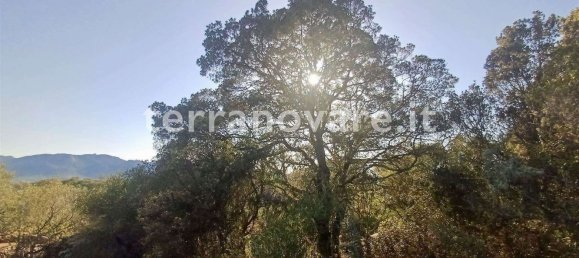 Grundstück in Sant'Antonio di Gallura, Italy 42000m², Nr. 274136 4