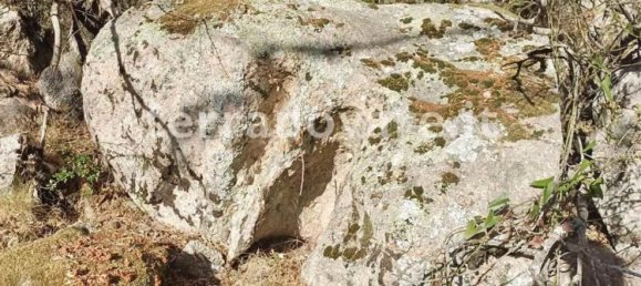 Grundstück in Sant'Antonio di Gallura, Italy 42000m², Nr. 274136 11