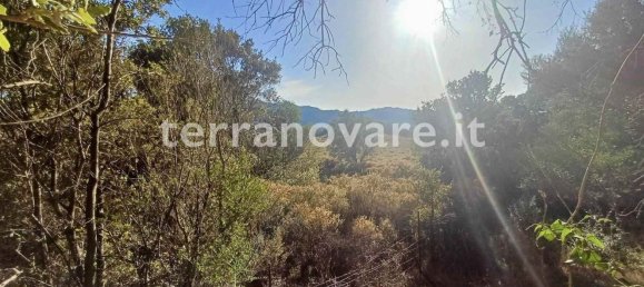 Grundstück in Sant'Antonio di Gallura, Italy 42000m², Nr. 274136 17