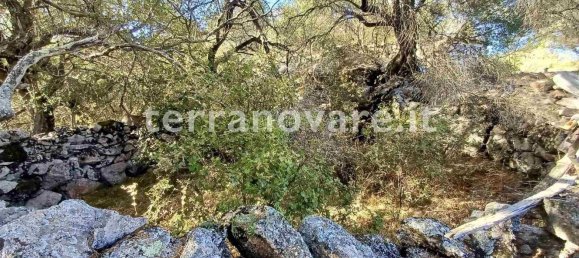 Grundstück in Sant'Antonio di Gallura, Italy 42000m², Nr. 274136 3