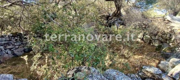 Grundstück in Sant'Antonio di Gallura, Italy 42000m², Nr. 274136 2