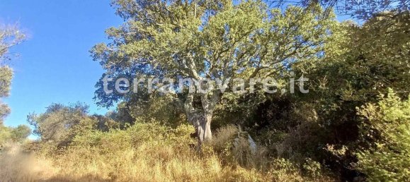 Grundstück in Sant'Antonio di Gallura, Italy 42000m², Nr. 274136 5