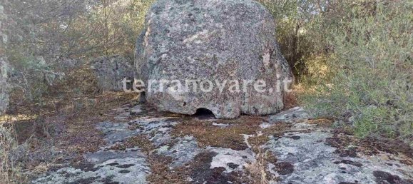 Grundstück in Sant'Antonio di Gallura, Italy 42000m², Nr. 274136 13