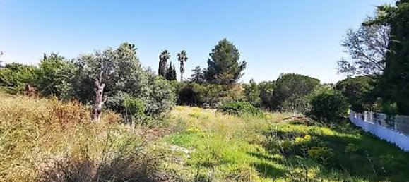 297m² Land in Lagoa, Portugal No. 35988 7
