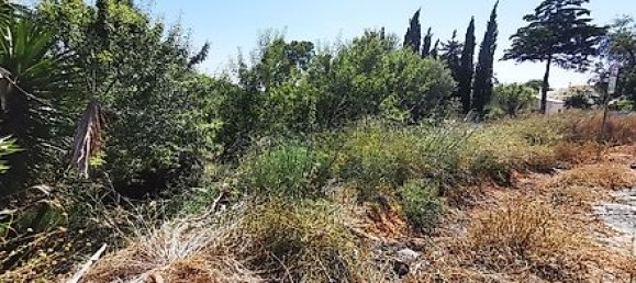 297m² Land in Lagoa, Portugal No. 35988 4