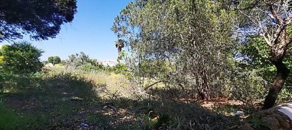 297m² Land in Lagoa, Portugal No. 35988 9