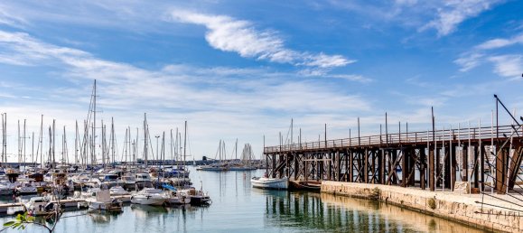 2 bedrooms Apartment in Torrevieja, Spain No. 16754 16