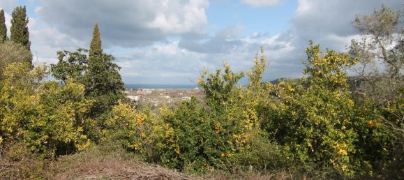 Hotel in Corfu, Greece 6135m², Nr. 5872 15