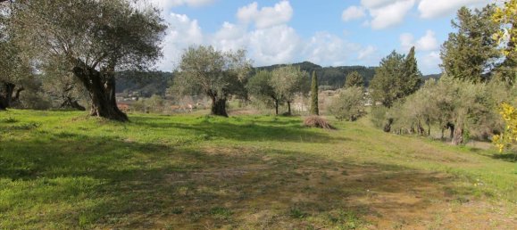 Hotel in Corfu, Greece 6135m², Nr. 5872 12