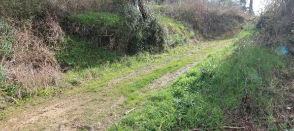 Hotel in Corfu, Greece 6135m², Nr. 5872 2