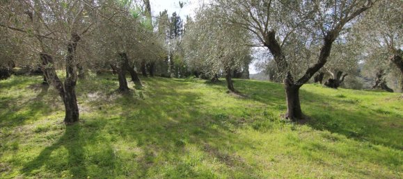 Hotel in Corfu, Greece 6135m², Nr. 5872 14