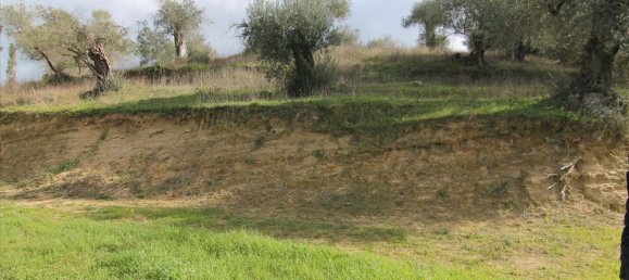 Hotel in Corfu, Greece 6135m², Nr. 5872 9