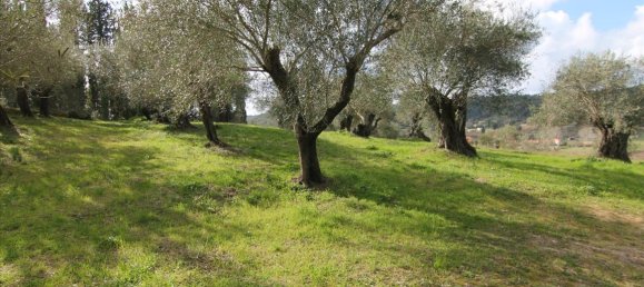 Hotel in Corfu, Greece 6135m², Nr. 5872 13