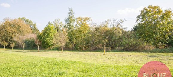 1100m² Land in Jeandelaincourt, France No. 236708 3