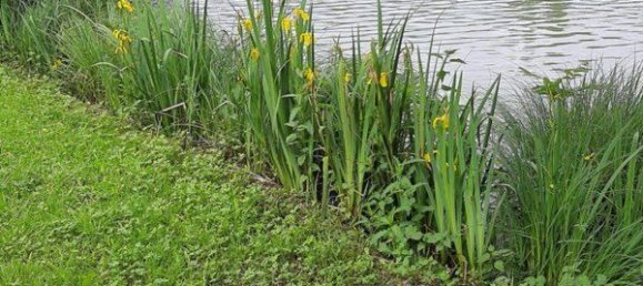  Land in Cote-d'Or, France No. 289932 2