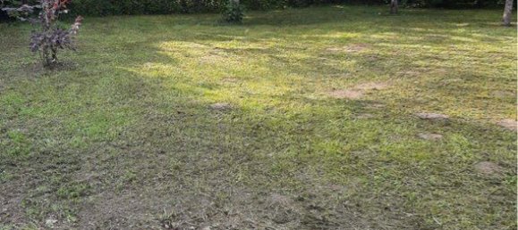  Land in Cote-d'Or, France No. 289932 3