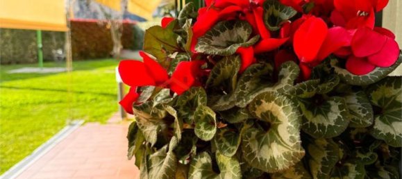 3 Schlafzimmer Wohnung in Rimini, Italy, Nr. 331154 9