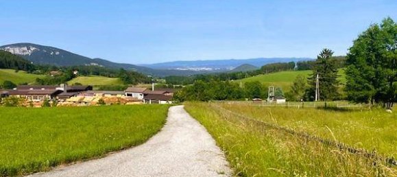 6 rooms House in Prigglitz, Austria No. 153090 19