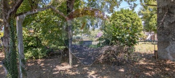 3 غرف نوم منزل في Tondela, Portugal رقم 183730 22