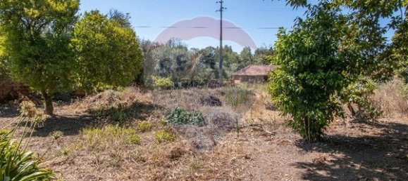 3 غرف نوم منزل في Tondela, Portugal رقم 183730 21