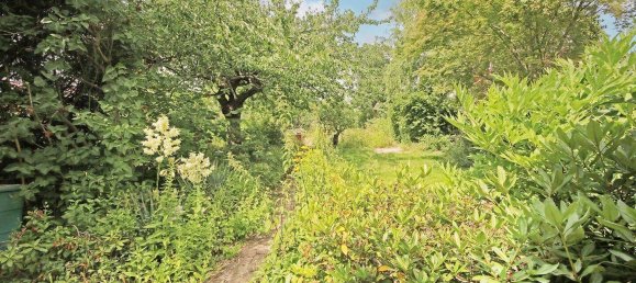 9غرفة تاون هاوس في Saxony-Anhalt, Germany رقم 265650 45