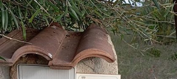 2400m² Land in Castelsardo, Italy No. 281791 3