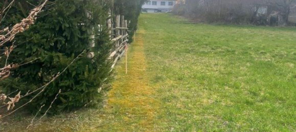 Terrain à Stegersbach, Austria No. 159463 6