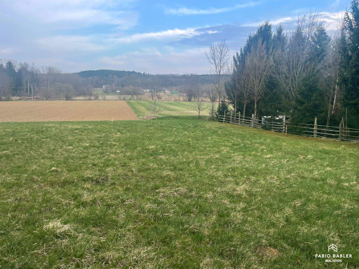 Terrain à Stegersbach, Austria No. 159463