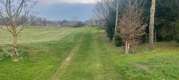 Terrain à Stegersbach, Austria No. 159463 8