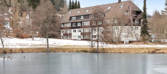 1 غرف نوم شقة في Baden-Wurttemberg, Germany رقم 91988 11