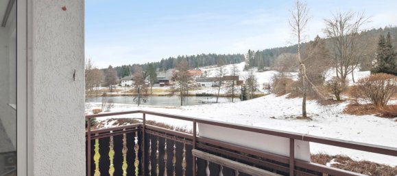 1 غرف نوم شقة في Baden-Wurttemberg, Germany رقم 91988 3