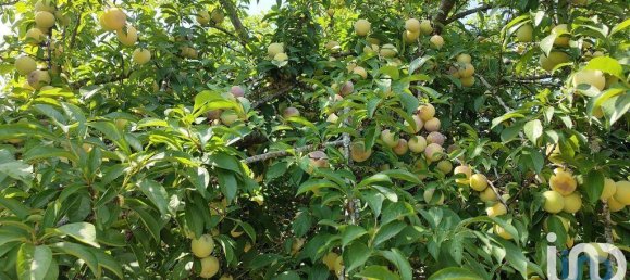 5 Schlafzimmer Haus in Sao Pedro da Torre, Portugal, Nr. 201318 26