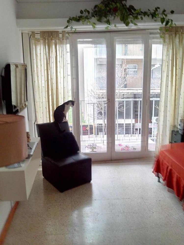 2 غرف نوم شقة في Mar del Plata, Argentina رقم 94202