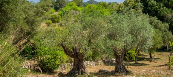 2 Schlafzimmer Haus in Arta, Spain, Nr. 153602 29