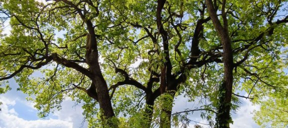 8-Zimmer Haus in Galeata, Italy, Nr. 219079 26