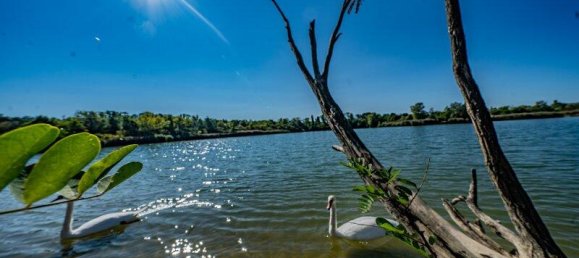 3غرفة شقة في Favoriten, Austria رقم 186131 2