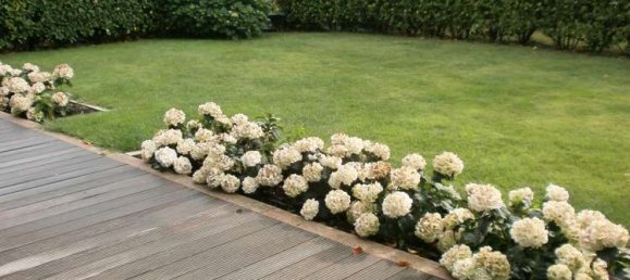 2 chambres Appartement à Dusseldorf, Germany No. 64840 5