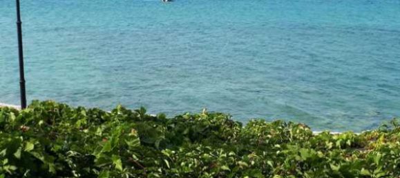 660m² Property in Agistri, Greece No. 2025 10