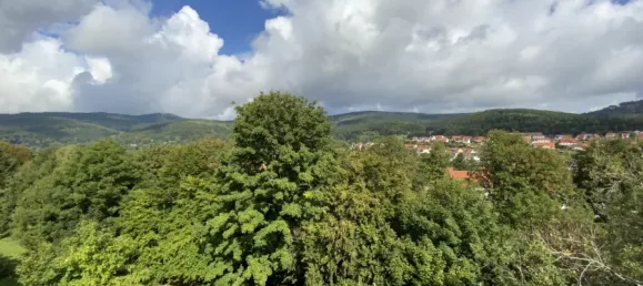 Дуплекс с 4 комнатами в Шмалькальден-Майнинген, Германия № 288039 8