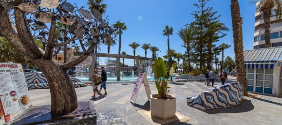 2 bedrooms Apartment in Torrevieja, Spain No. 91025 43