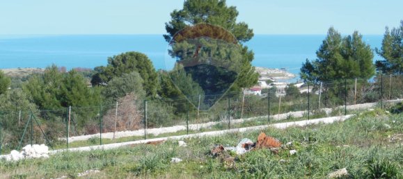 Estudio en Vieste, Italy No. 119418 29