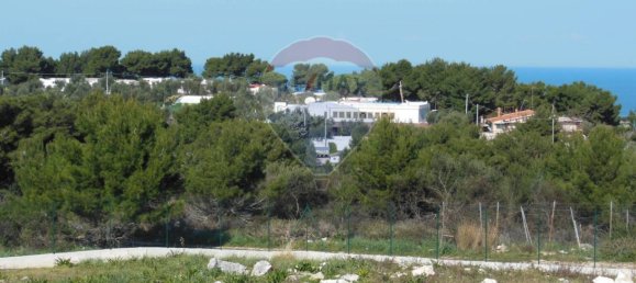 Estudio en Vieste, Italy No. 119418 20