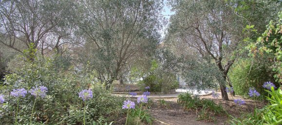 5 غرف نوم فيلا في Saint-Raphael, France رقم 303954 10