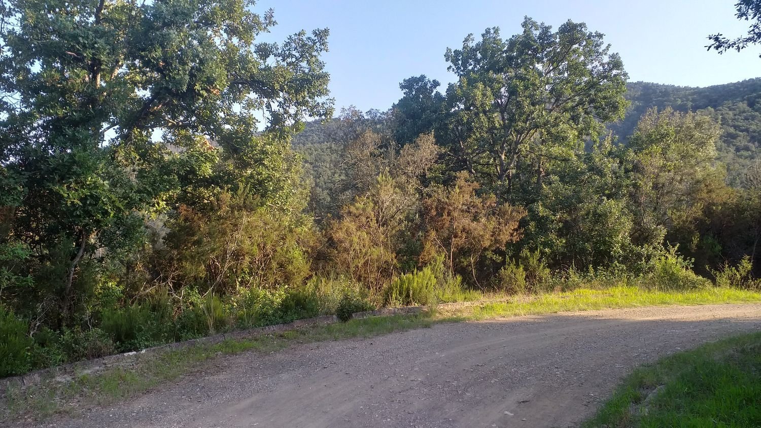 Grundstück in Girona, Spain, Nr. 260414