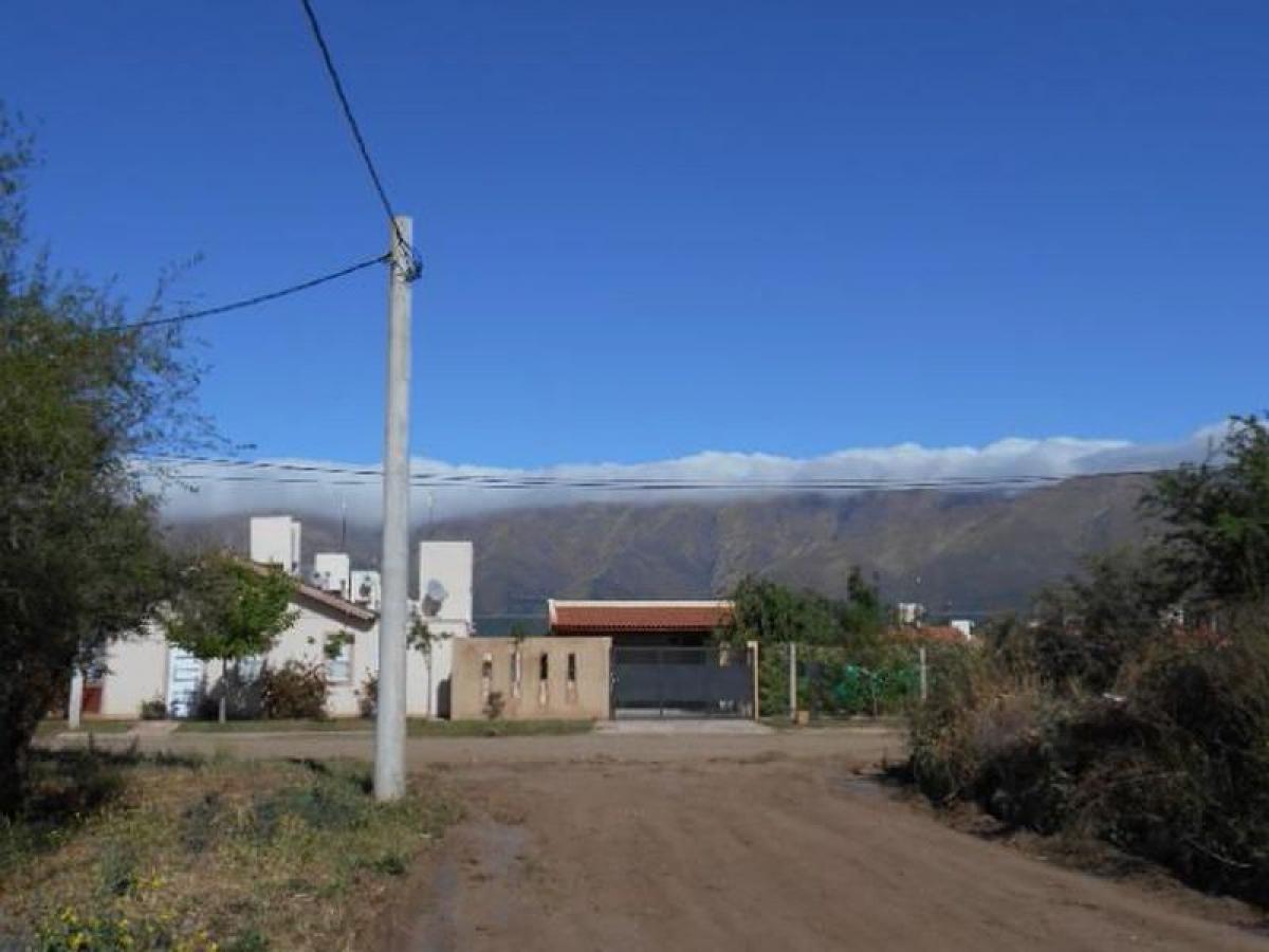 Terrain à San Luis, Argentina No. 47603