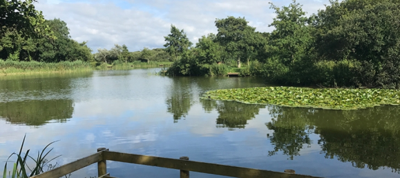 2 bedrooms House in Crantock, United Kingdom No. 13763 16