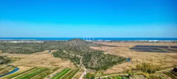 72m² Commercial property in Pego, Spain No. 159633 14