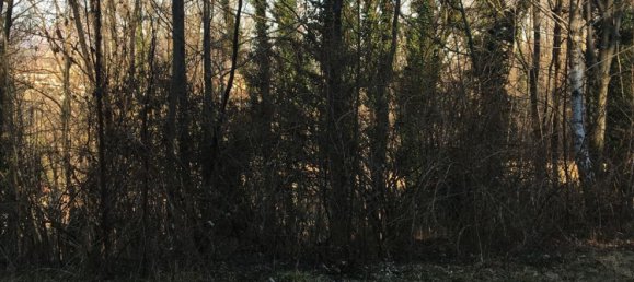 Дом с 7 комнатами в Муццано, Италия № 227700 29