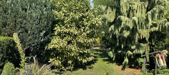 5-Zimmer Haus in Ternitz, Austria, Nr. 218294 10