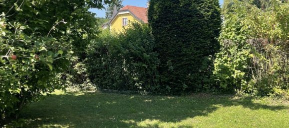 5-Zimmer Haus in Ternitz, Austria, Nr. 218294 14